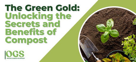 The Green Gold: Unlocking the Secrets and Benefits of Compost