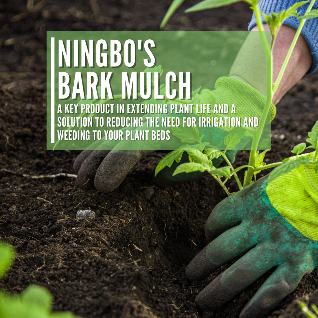 The Secrets Behind Bark Mulch