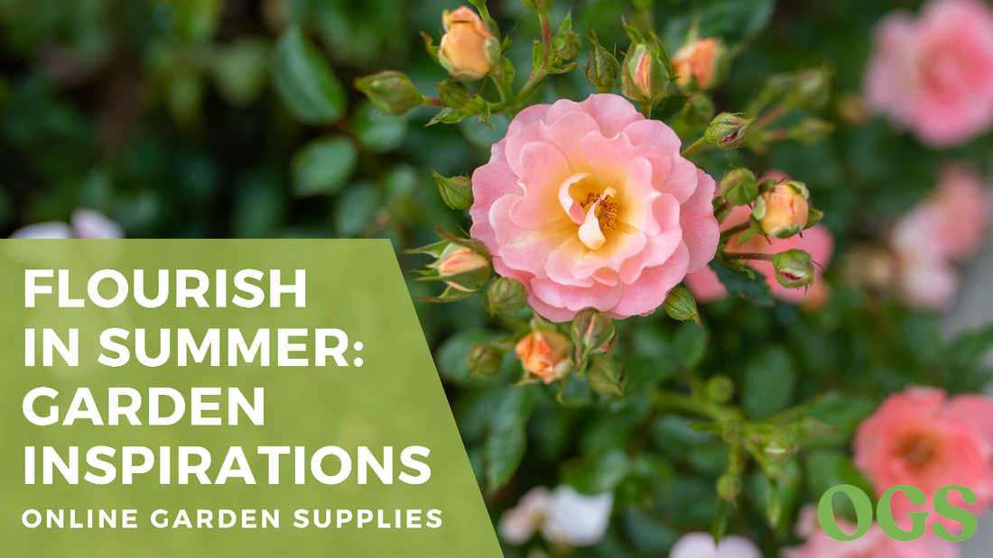 Embrace the Splendour of Summer: Crafting Your Perfect Garden Oasis
