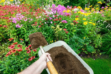 How much bark mulch do I need?
