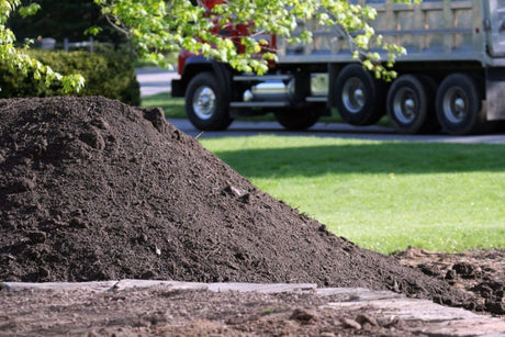 How much topsoil do I need?