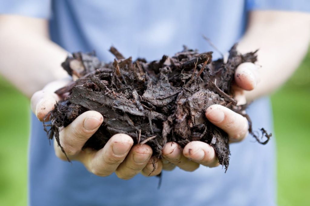What is mulch?