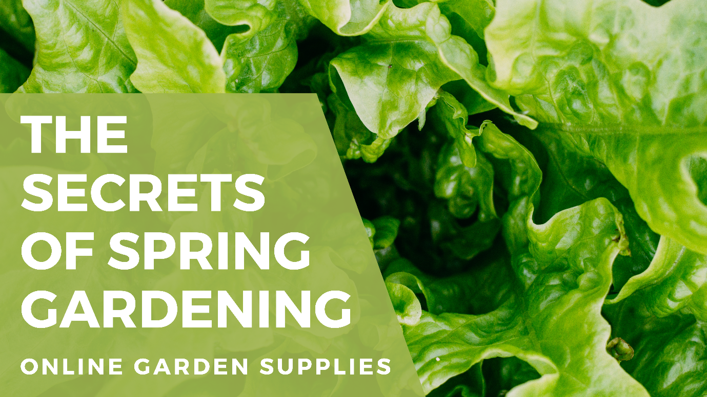Let's Get Growing Spring The Secrets of Spring Gardening: What Grows Fastest in Spring? – Online ...