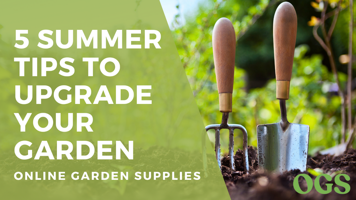 Unlock Your Garden's Full Potential 5 Summer Tips for a Blooming Oasis ...