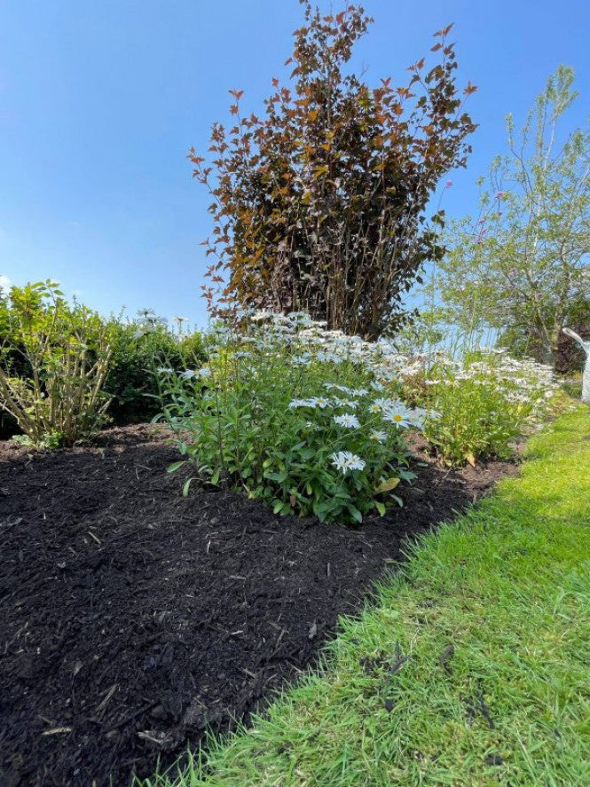 Compost Garden Mulch Blend