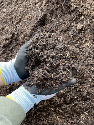 Composted Mulch Bark Fines