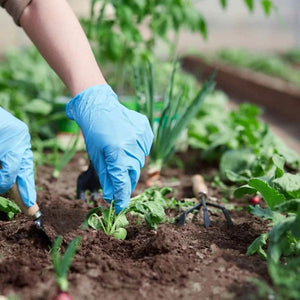 Topsoil for Vegetables Bulk Bags