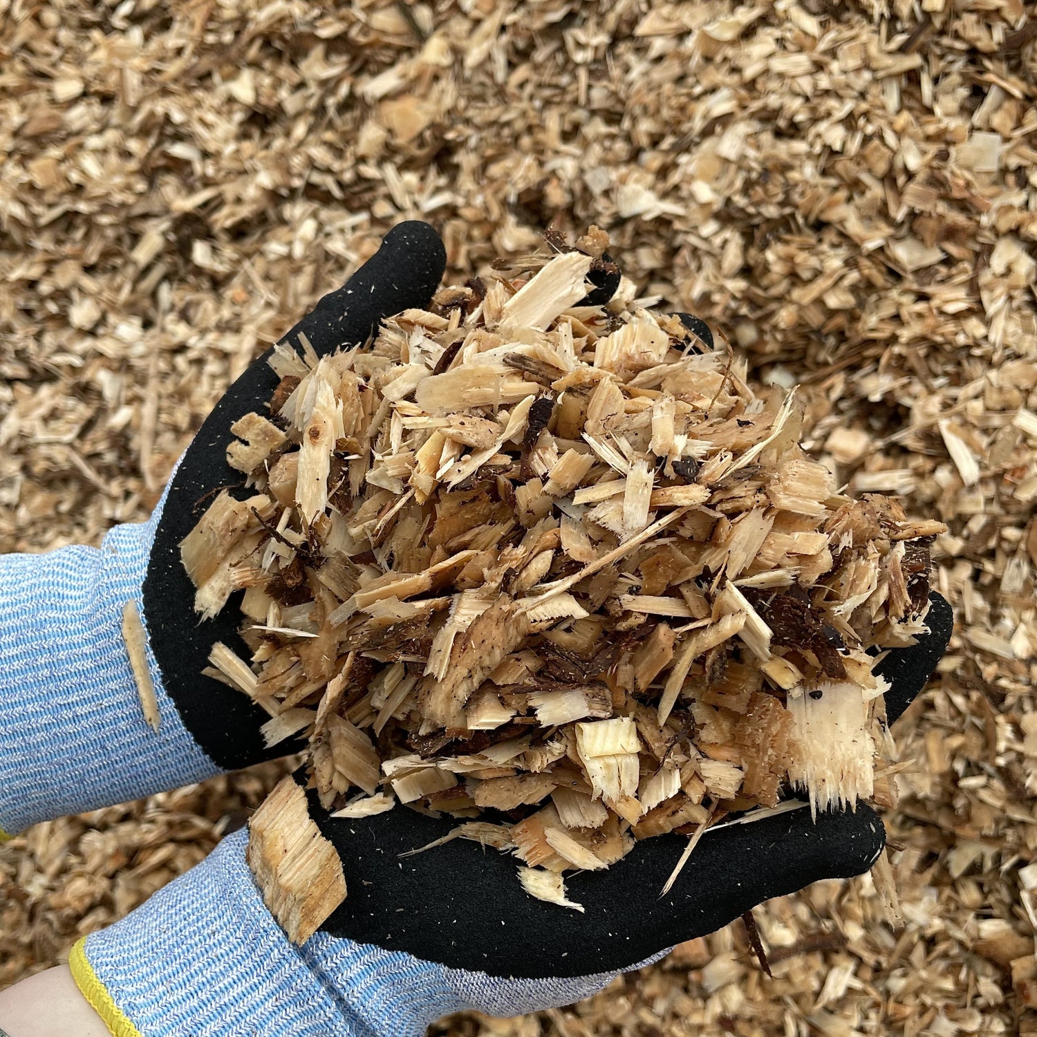 Wood Chippings Bulk Bag | Wood Chippings | Premium Garden Mulch ...