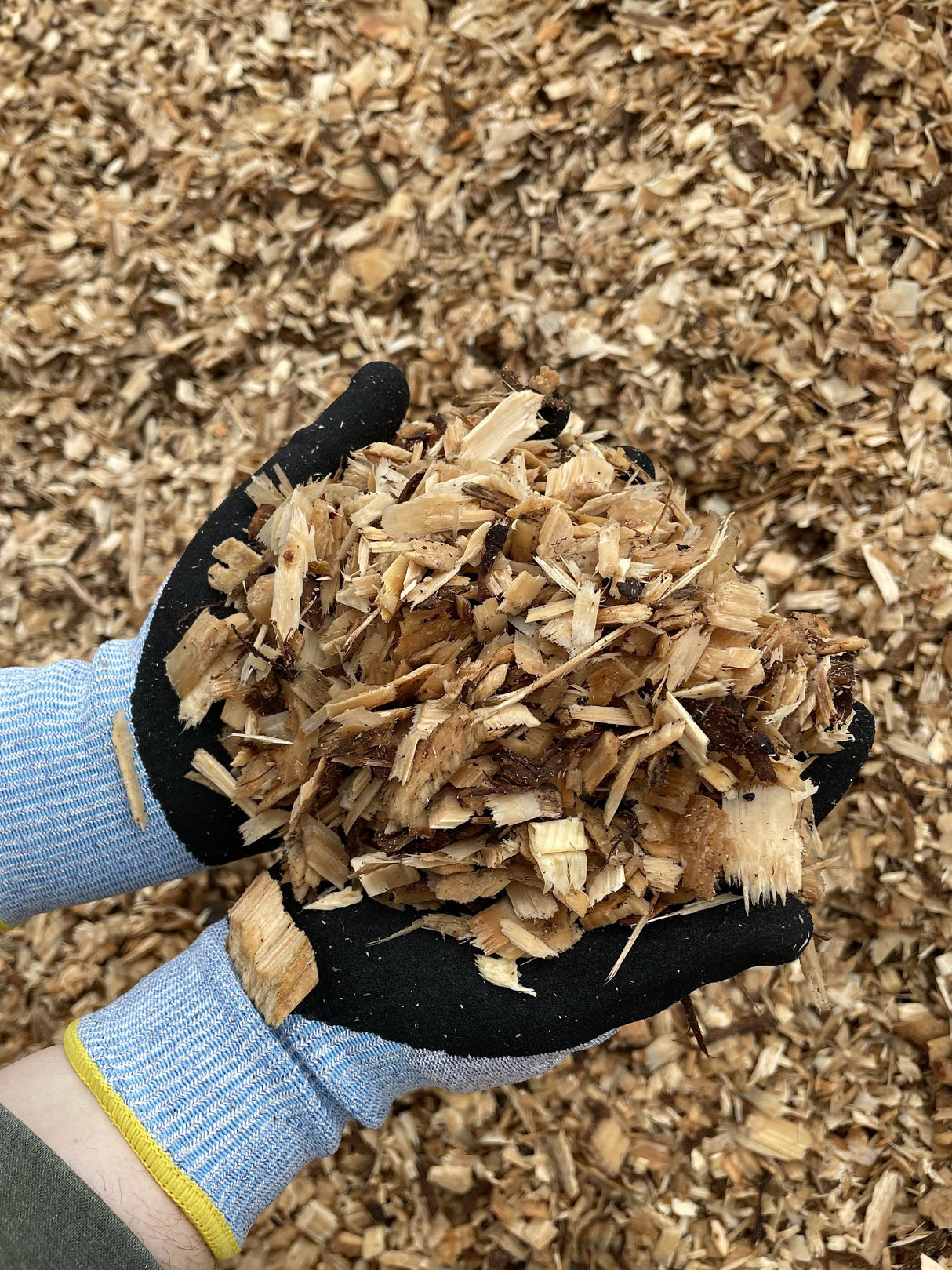 Wood Chippings Bulk Bag