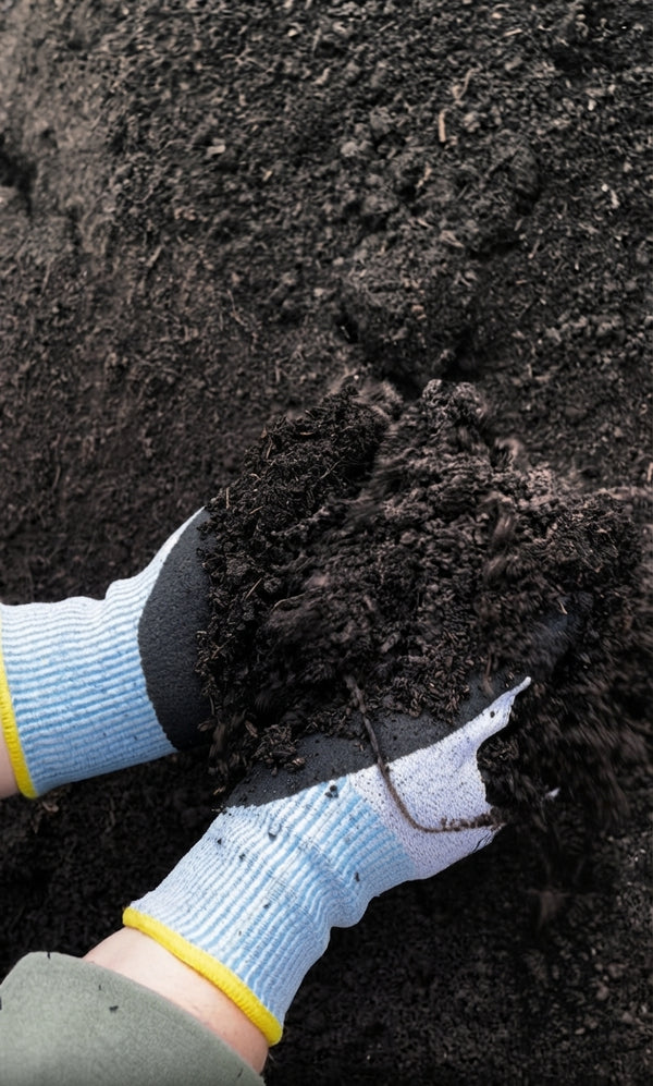 Multipurpose Compost