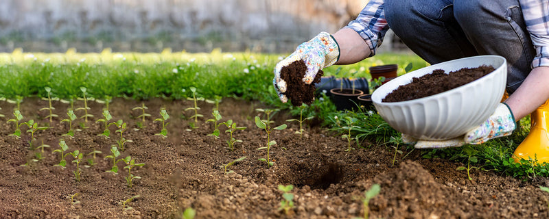 Why Choose Online Garden Supplies