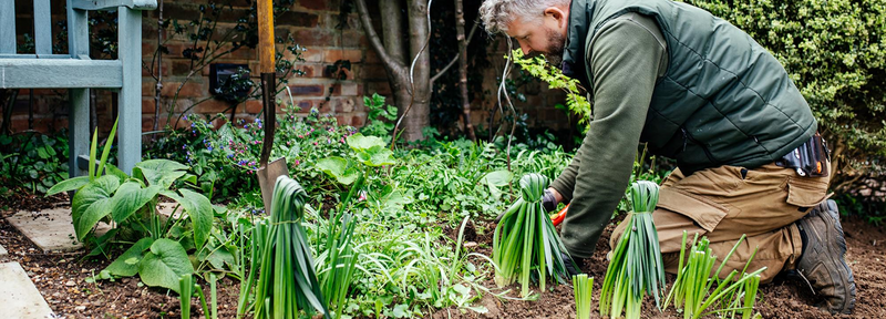 Why Choose Online Garden Supplies